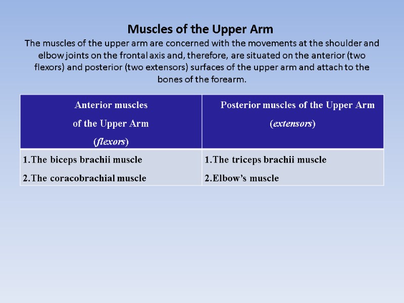 Muscles of the Upper Arm  The muscles of the upper arm are concerned